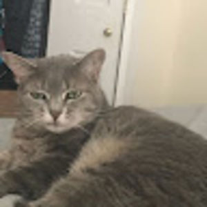 Meet your Posher, Steven